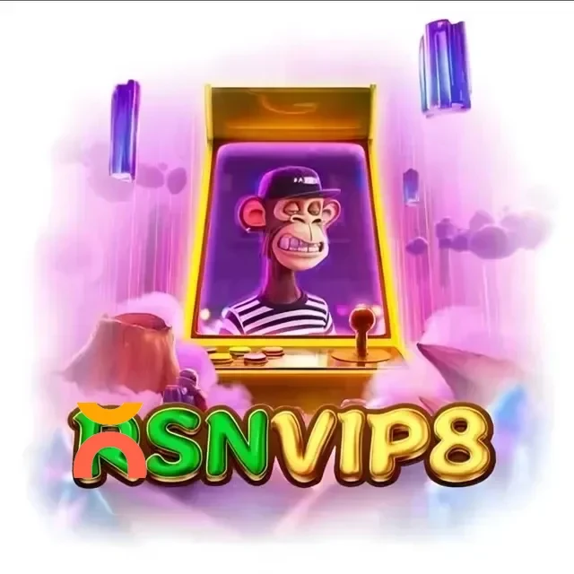 Logo rsnvip8